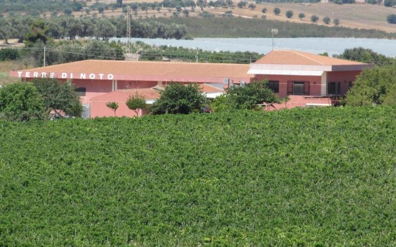 Welcome on Terre di Noto